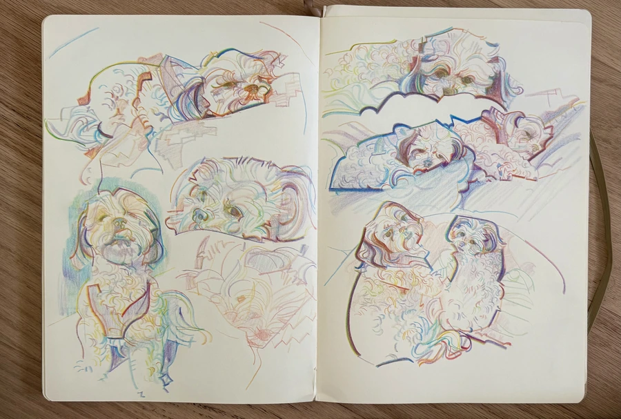 Untitled (2026)